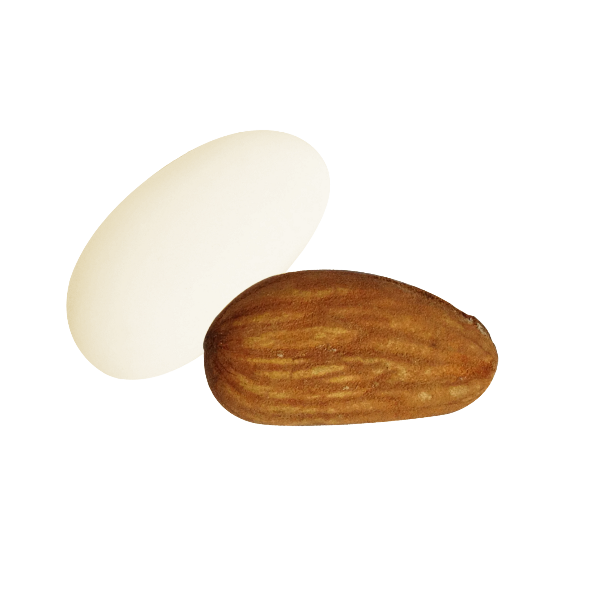 Dragées amandes Avola colorées, délicieuses amandes enrobées de sucre pour fêtes et événements.