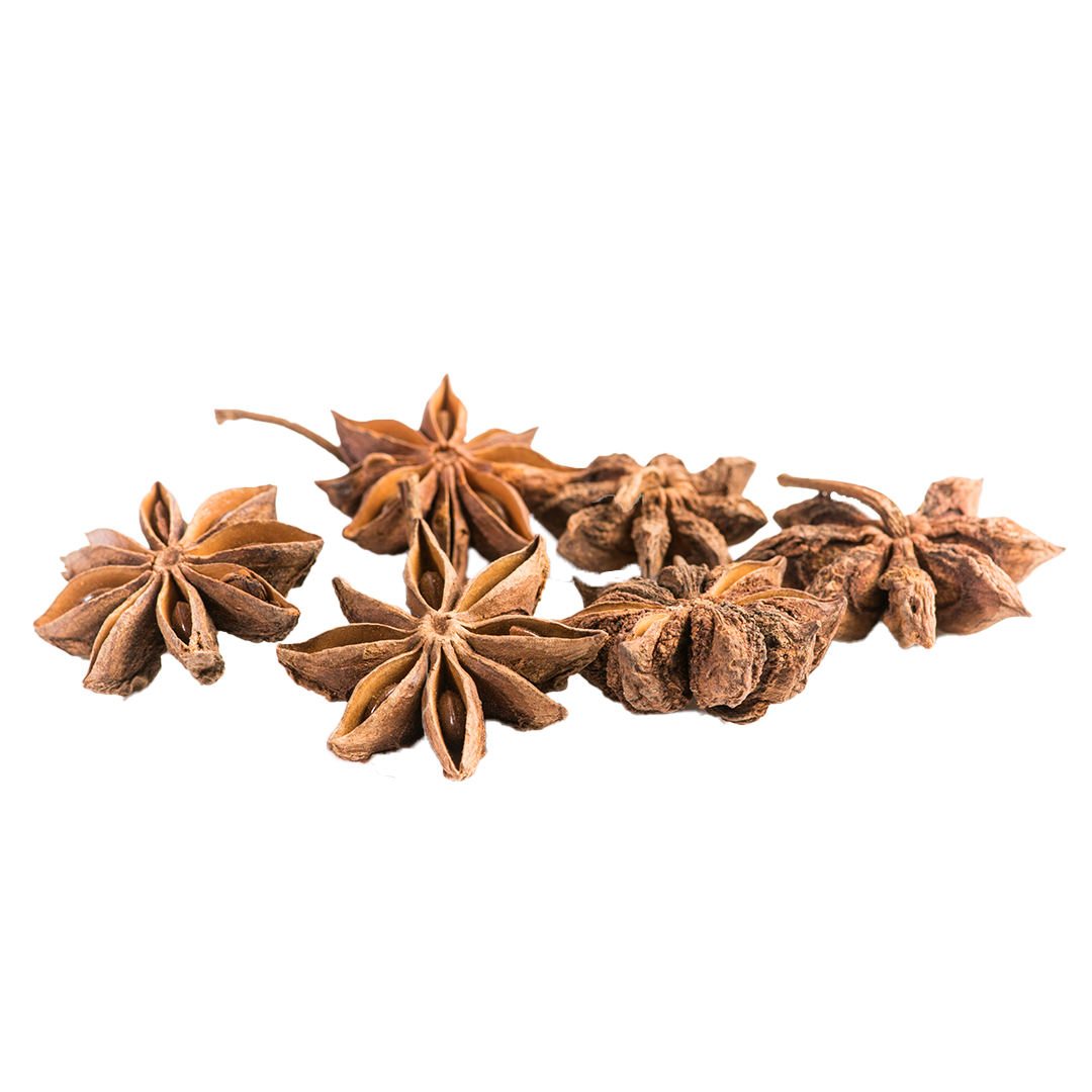 Six fleurs de badiane séchées