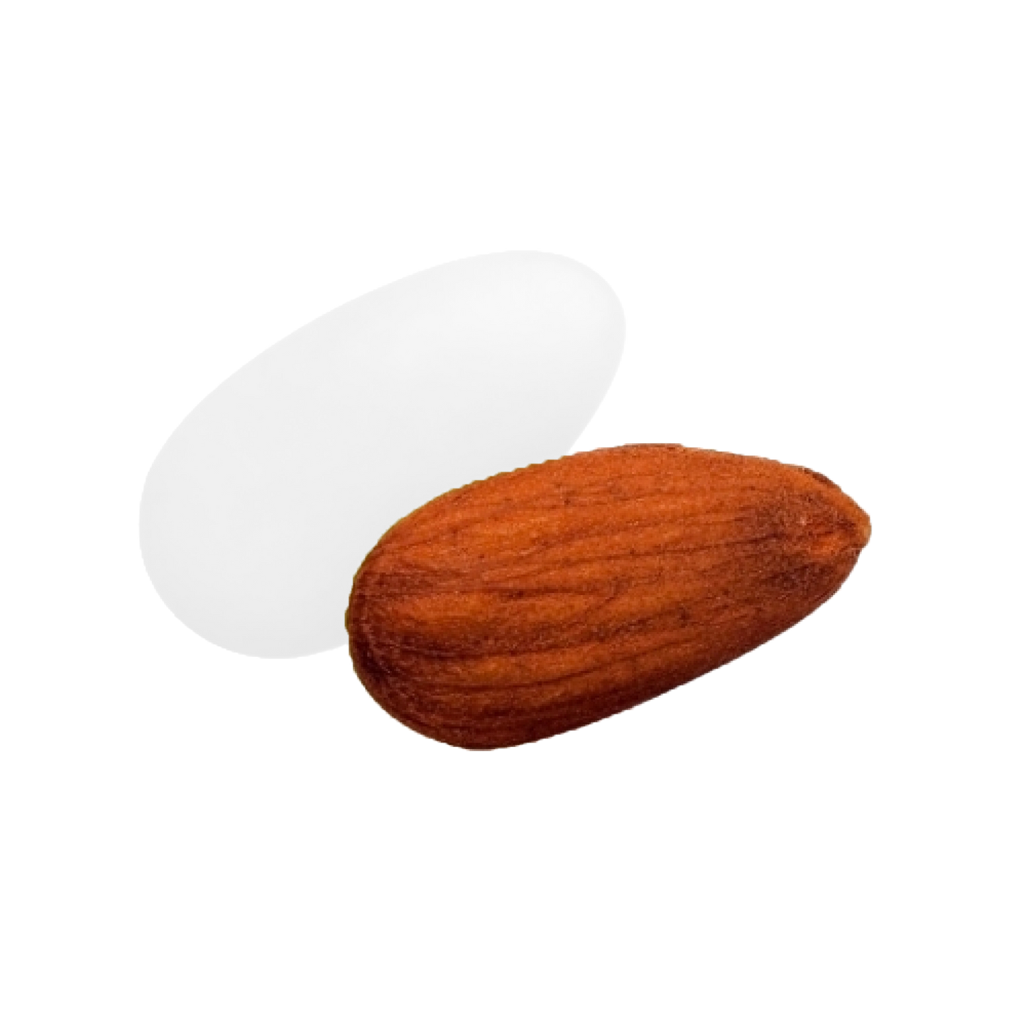 Dragées amandes Catalane colorées, délicieuses amandes enrobées de sucre pour fêtes et événements.