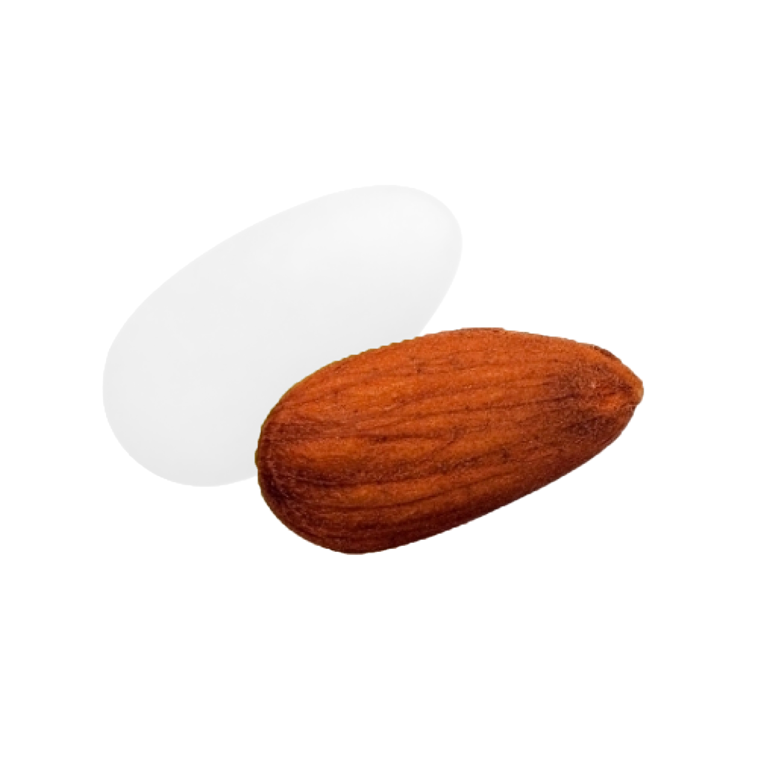 Dragées amandes Catalane colorées, délicieuses amandes enrobées de sucre pour fêtes et événements.