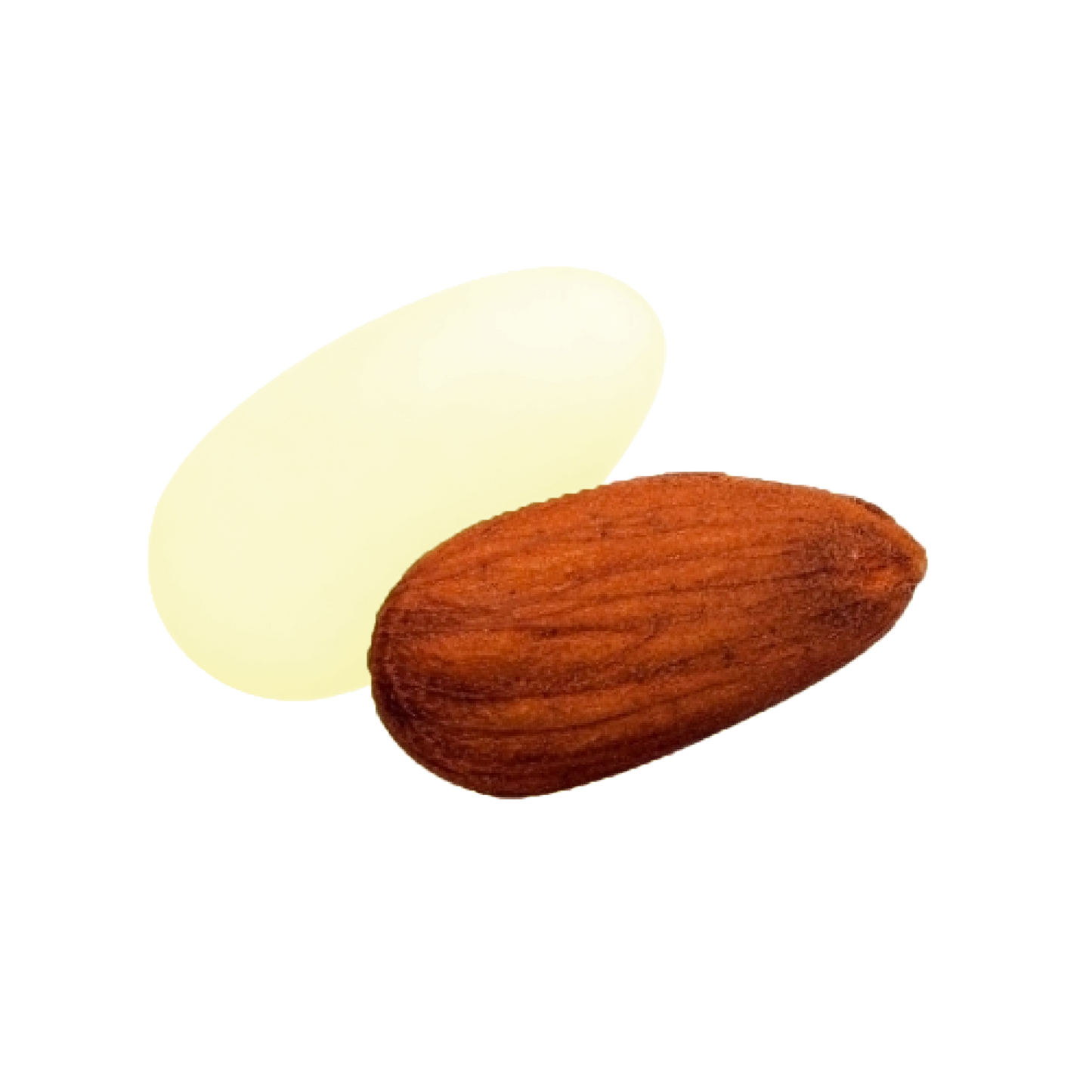 Dragées amandes Catalane colorées, délicieuses amandes enrobées de sucre pour fêtes et événements.