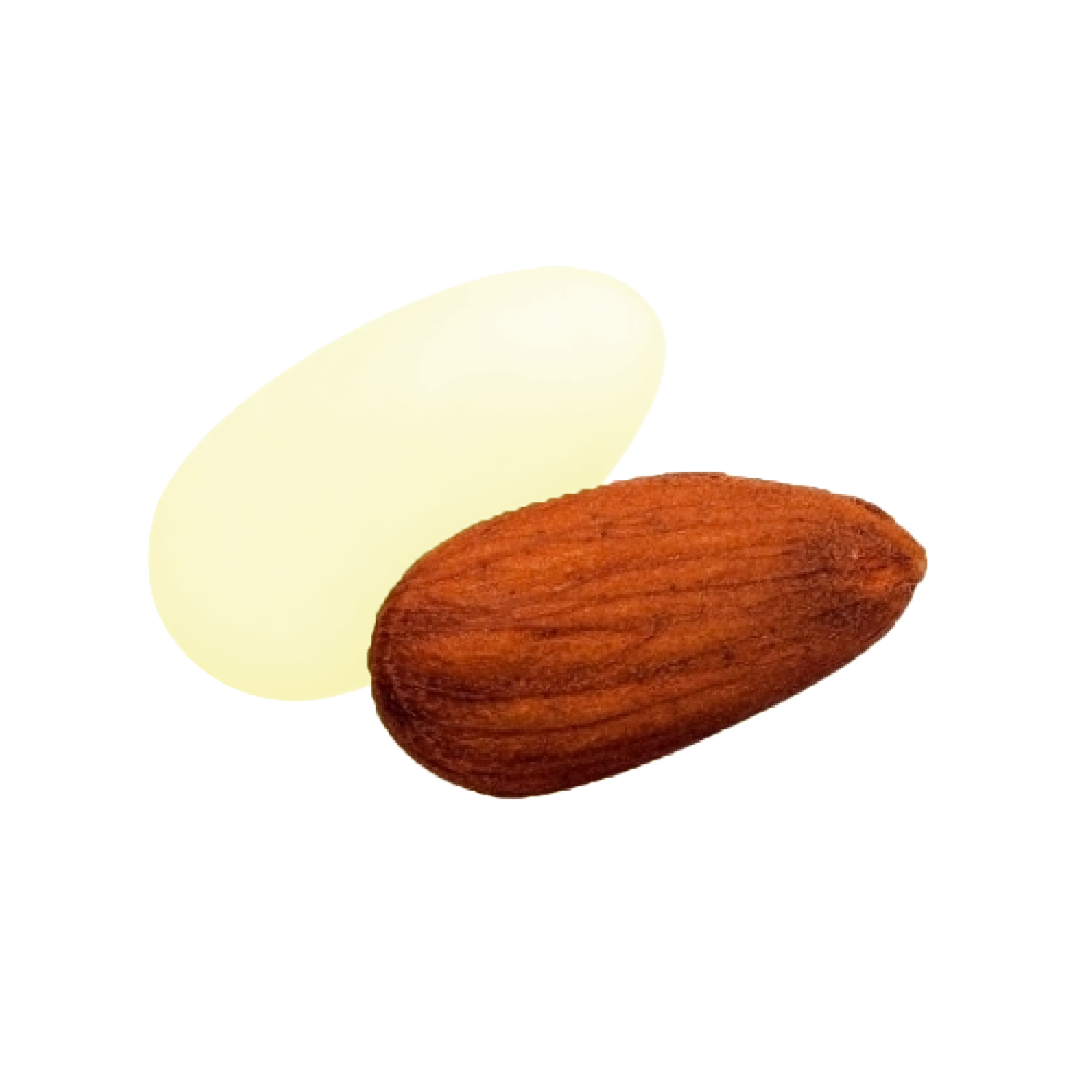 Dragées amandes Catalane colorées, délicieuses amandes enrobées de sucre pour fêtes et événements.