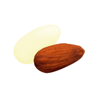 Dragées amandes Catalane colorées, délicieuses amandes enrobées de sucre pour fêtes et événements.
