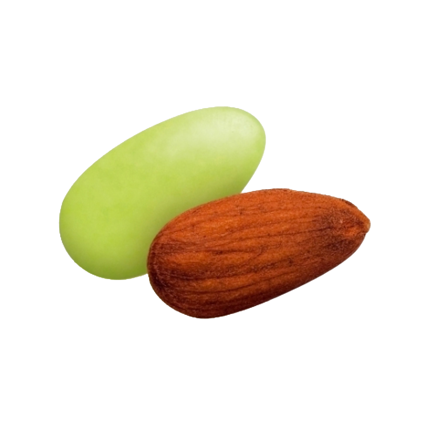 Dragées amandes Catalane colorées, délicieuses amandes enrobées de sucre pour fêtes et événements.