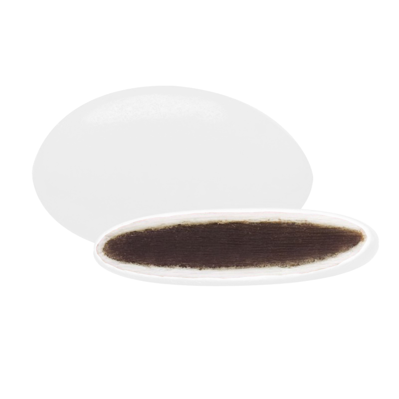 Dragées chocolat colorées, bouchées gourmandes au chocolat, idéales pour célébrations et confiseries