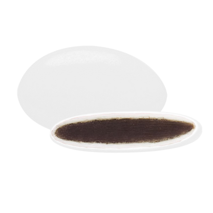 Dragées chocolat colorées, bouchées gourmandes au chocolat, idéales pour célébrations et confiseries