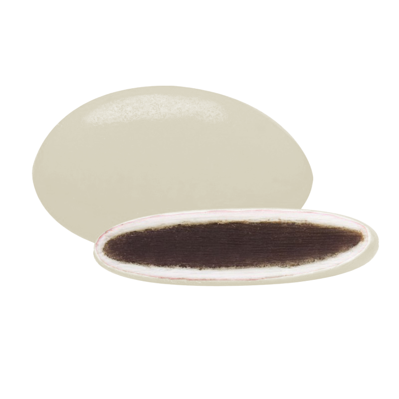 Dragées chocolat colorées, bouchées gourmandes au chocolat, idéales pour célébrations et confiseries