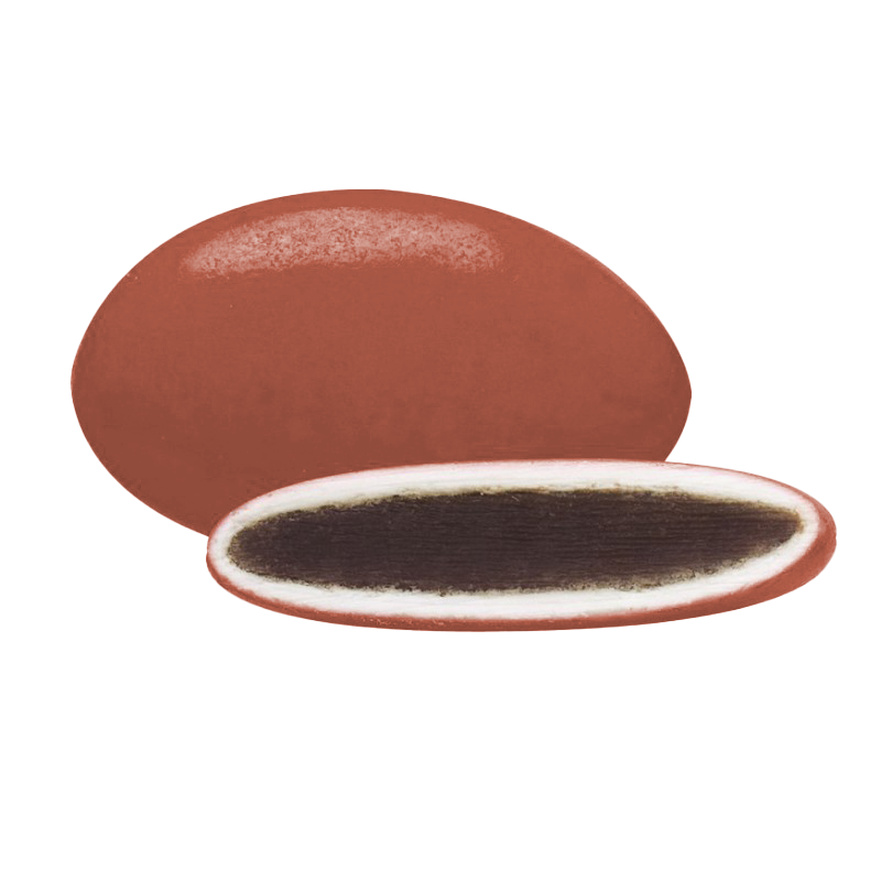 Dragées chocolat colorées, bouchées gourmandes au chocolat, idéales pour célébrations et confiseries