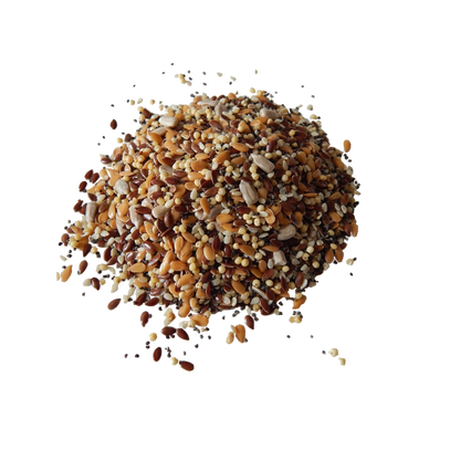 Mélange 5 graines atlas